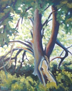 art lise fortin croissance